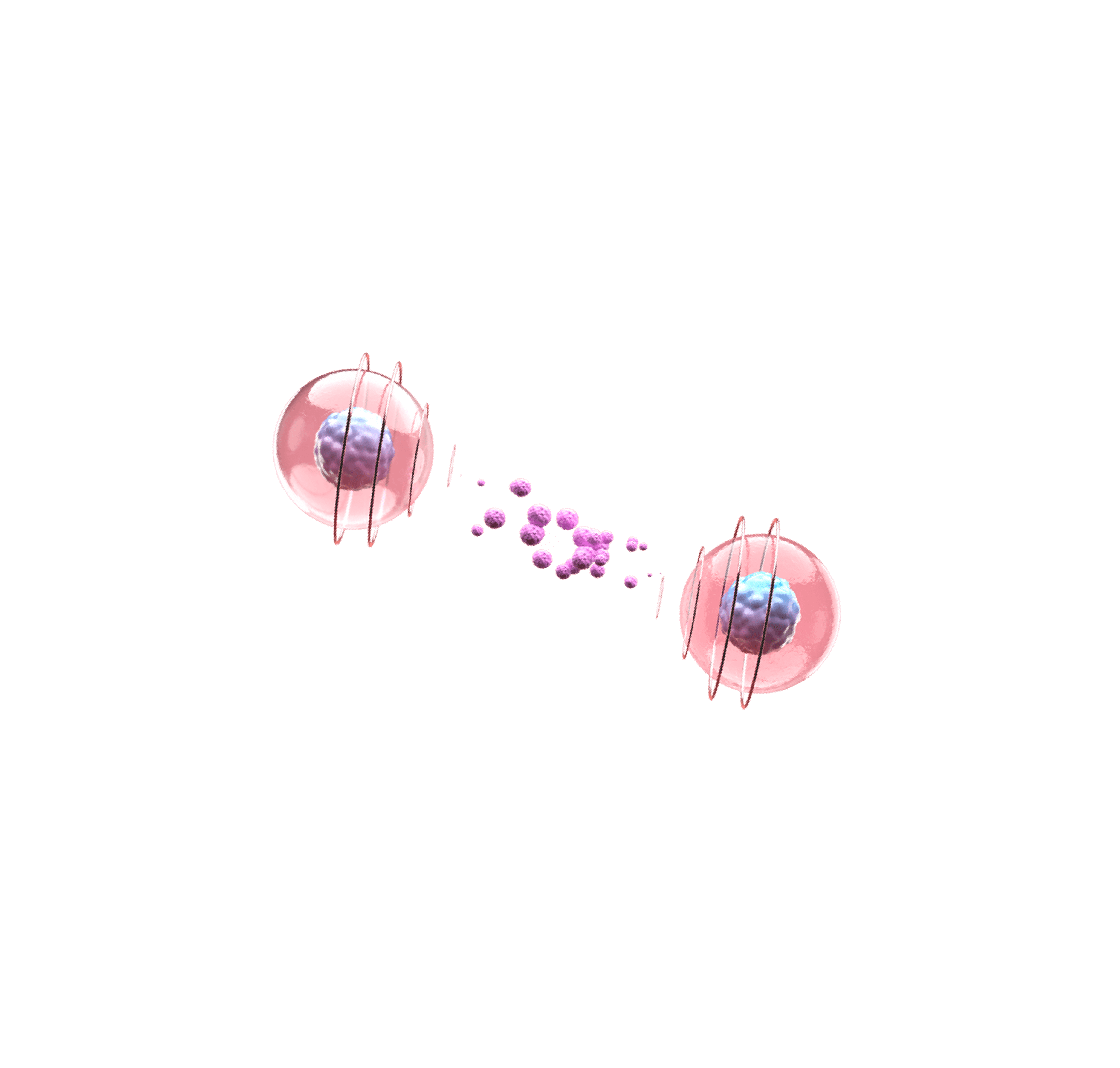 exosome